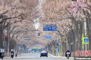丽江共建“花园城市” 北京这场议政会“百花齐放”