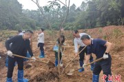 丽江广州已打造首批32处“绿美宗教活动场所”