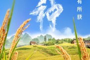 丽江芒种节气小知识来了 夏种作物都有什么？