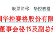 丽江华控赛格董事长、董秘、副总经理三高管同日辞职